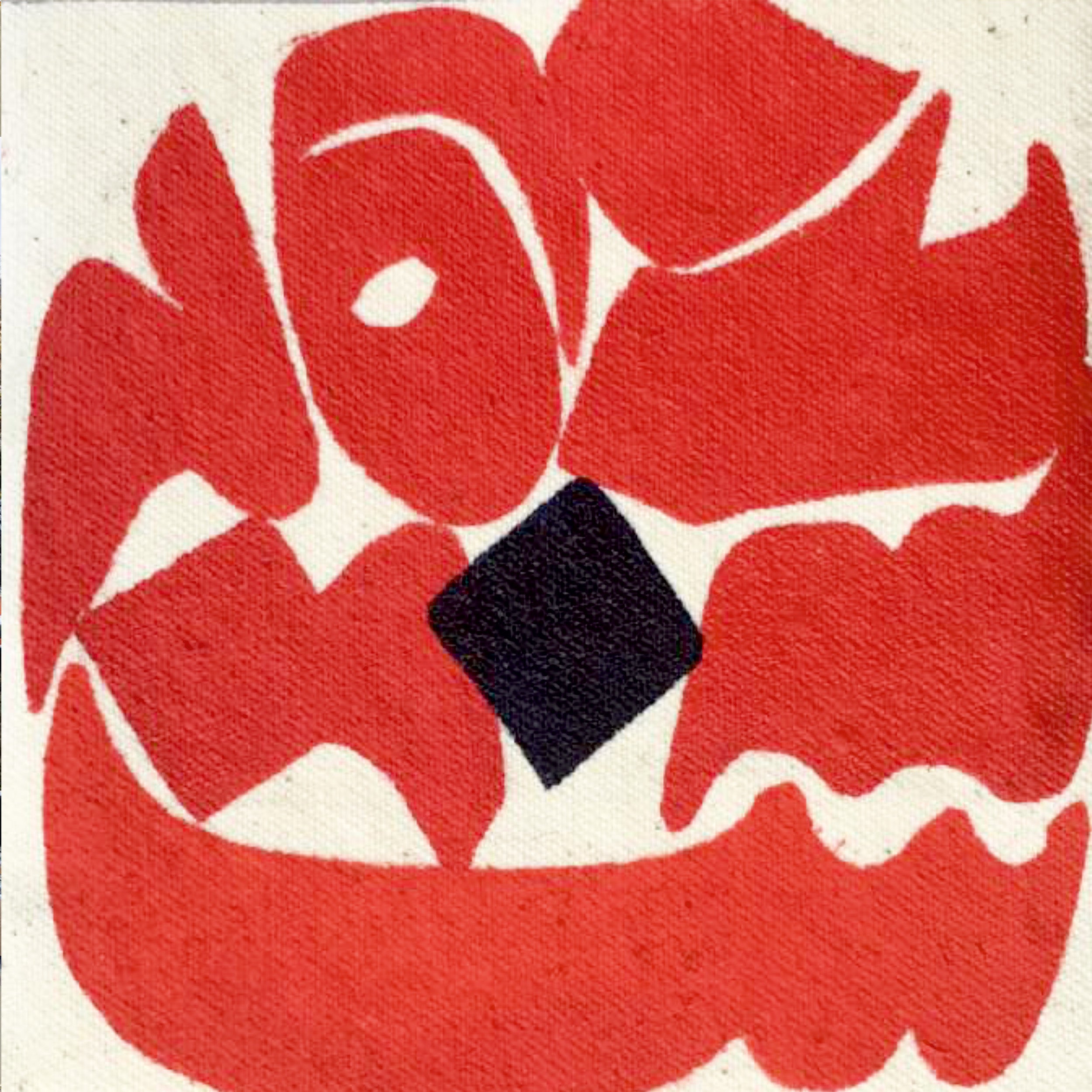 Poppy flower   شقائق النعمان