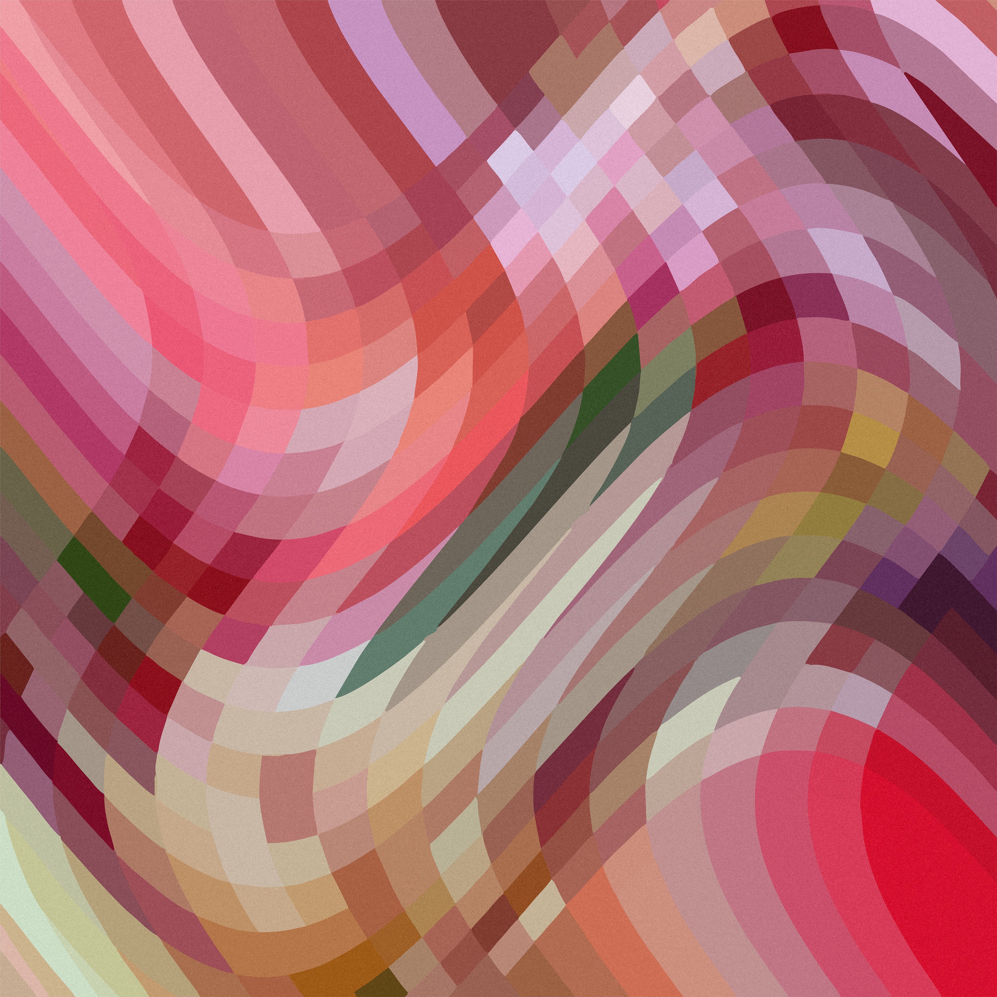 Silent Bloom   تَفَتُّح صامت