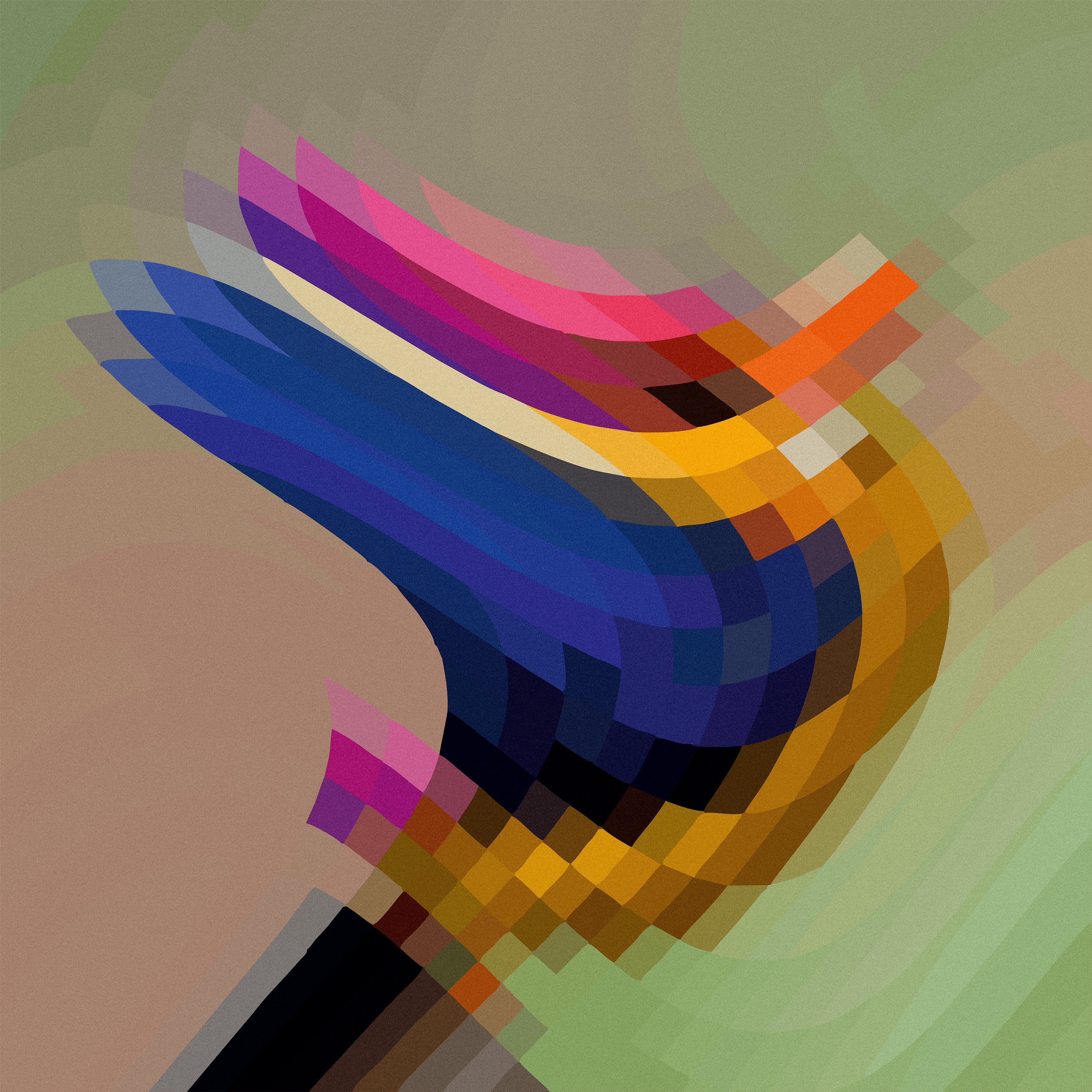 Flight Within Light   تحليق في النور