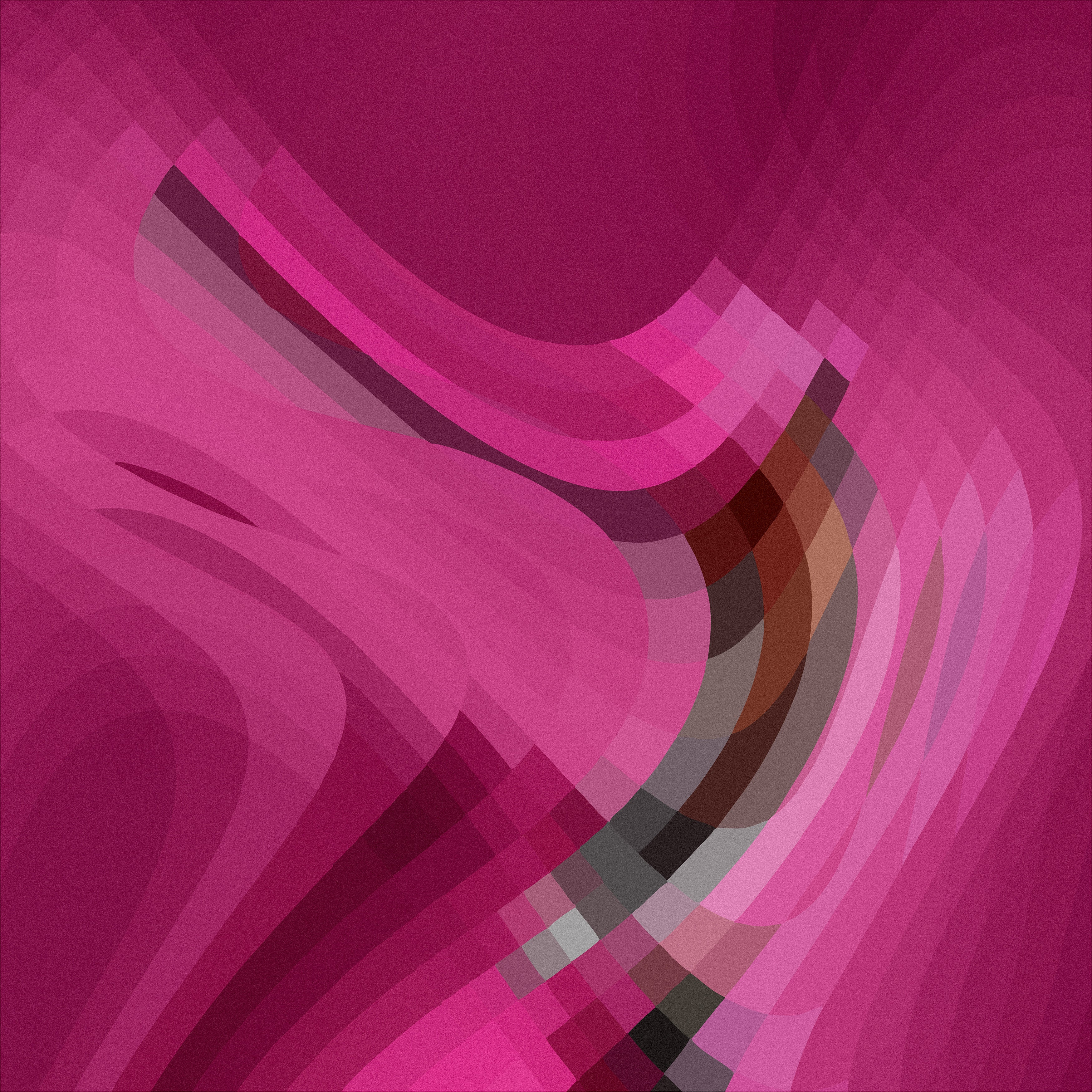 Wings of the Horizon   أجنحة الأفق